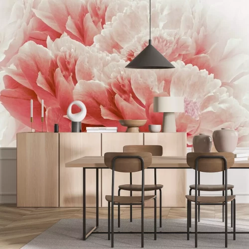 Papier peint  Composition de pivoines rouges