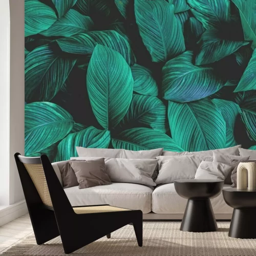 Papier peint  Feuilles tropicales sur fond sombre