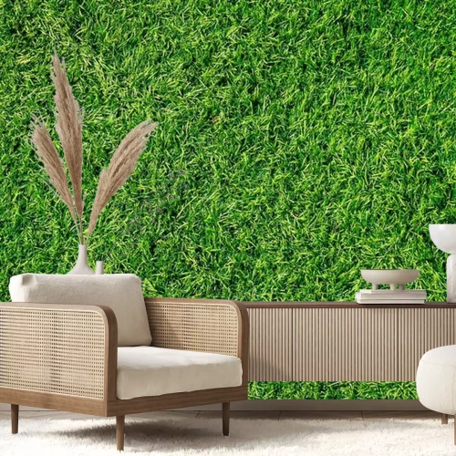 Papier peint  L'herbe au soleil