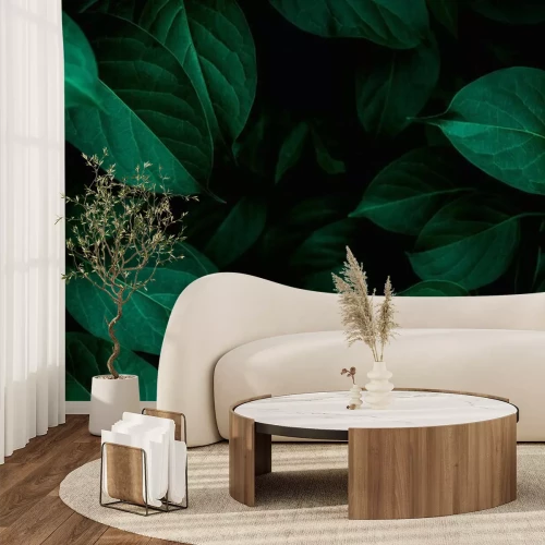 Papier peint  Feuilles sur fond noir