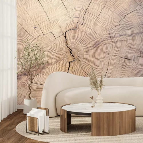 Papier peint  Vieille texture de souche en bois