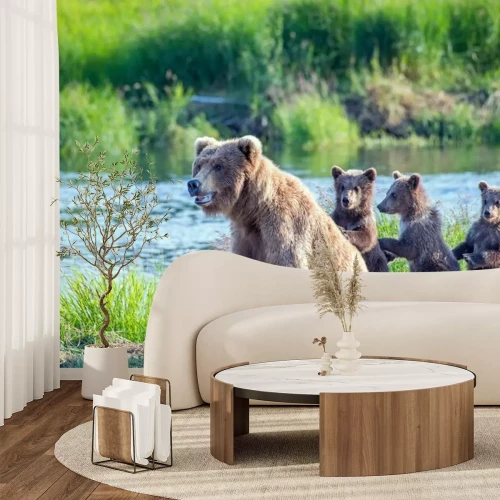 Papier peint  Famille d'ours près de la rivière