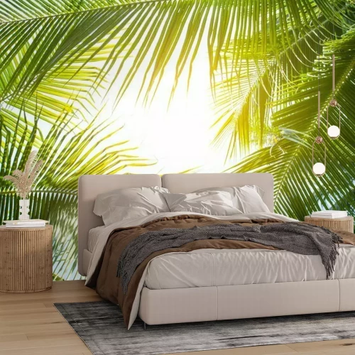 Papier peint  Palmiers verts au soleil