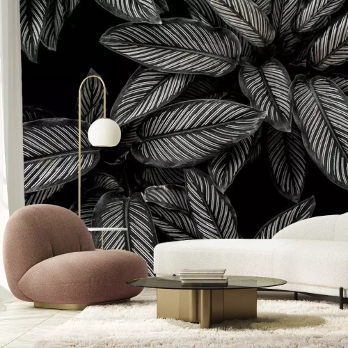 Papier peint  Feuilles noir et blanc plante sauvage