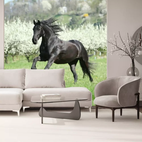 Papier peint  Un cheval noir galopant sur l'herbe