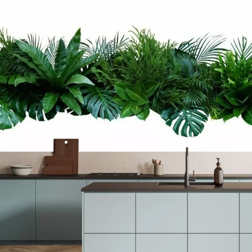 Papier peint  Composition des plantes exotiques