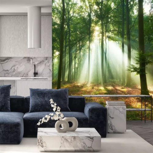 Papier peint  Printemps dans la forêt