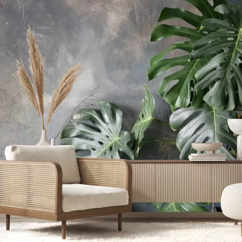 Papier peint  Plantes vertes sur fond gris