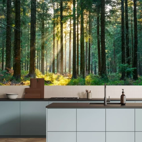 Papier peint  Forêt printanière baignée de soleil