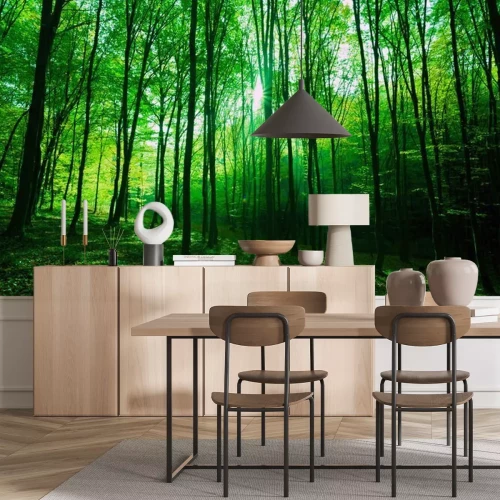 Papier peint  Sunlight in green forest