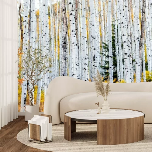 Papier peint  Foliage in autumn fall on Castle Creek scenic road with colorful yellow leaves on american aspen trees trunks forest in foreground in Colorado rocky mountains