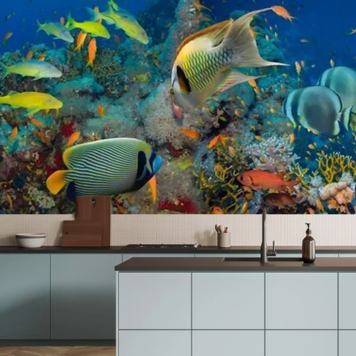Papier peint  Poissons et récif de corail