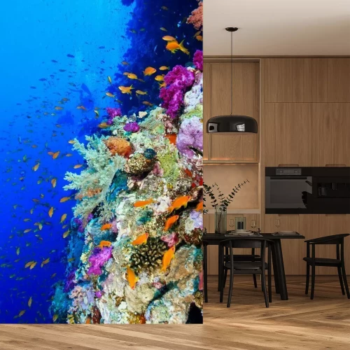 Papier peint  Récif corallien en Égypte