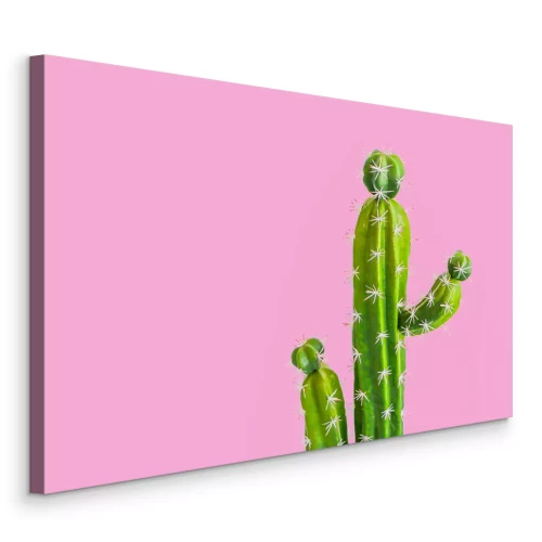 Tableau  Cactus sur fond rose