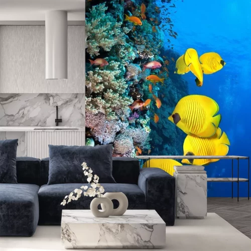 Papier peint  Récif de corail jaune et poissons