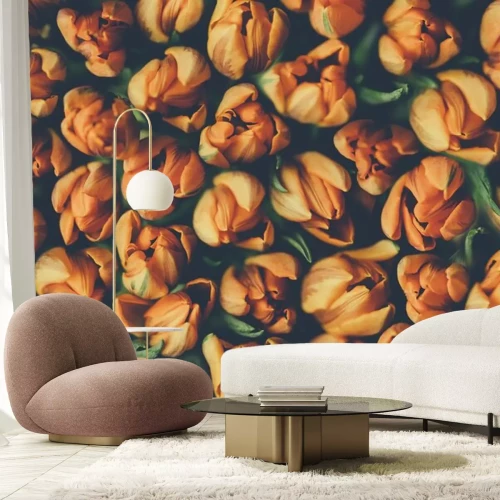 Papier peint  Tulipes oranges