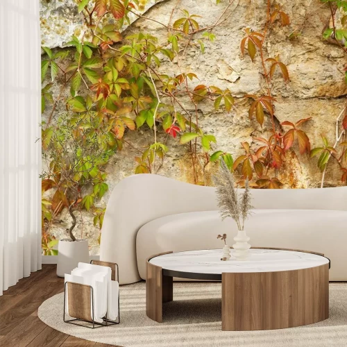 Papier peint  Vigne sauvage sur un mur