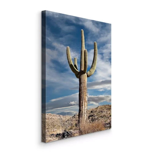 Tableau  Un cactus dans le désert contre un ciel nuageux