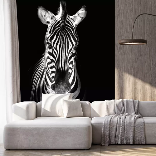 Sticker  Zèbre sur une photographie en noir et blanc