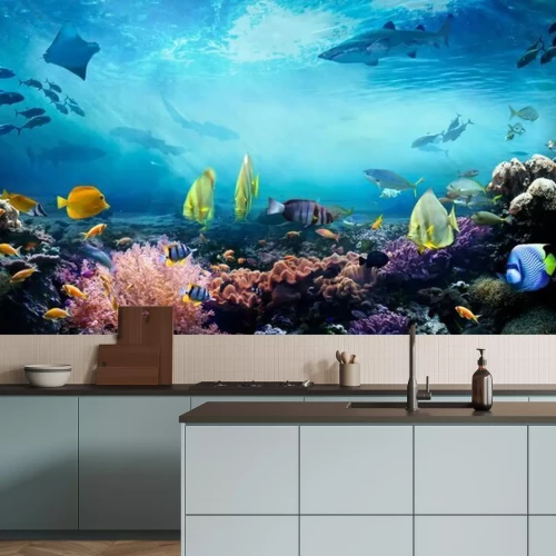 Papier peint  Poissons et requins des récifs coralliens