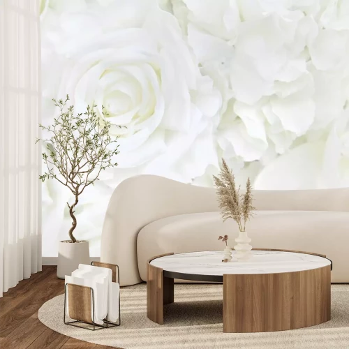 Papier peint  Fond floral rose blanche