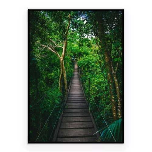 Poster  Pont de corde dans la jungle tropicale