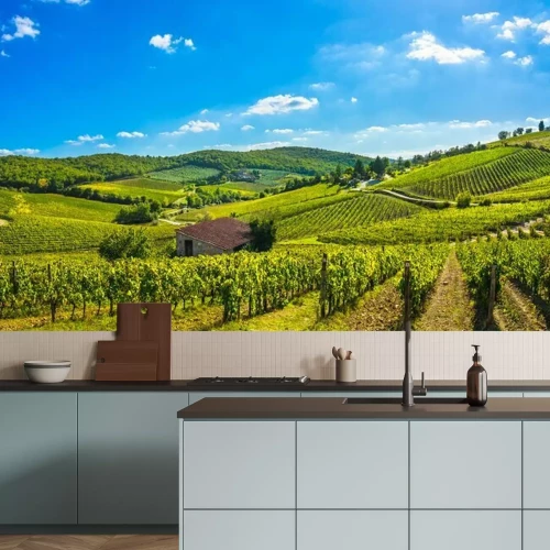 Papier peint  Vaste vignoble toscan au soleil