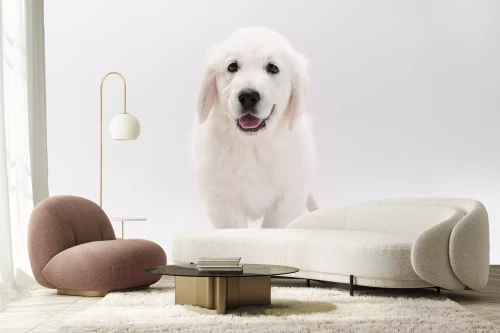 Visualisation du produit