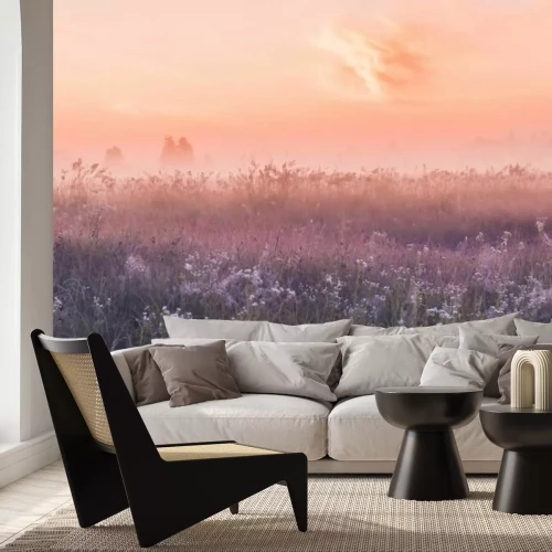 Papier peint  Prairie avec des fleurs sauvages et un lever de soleil rose