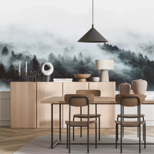 Papier peint  Vue nostalgique d'une forêt dans le brouillard