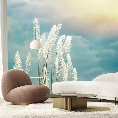 Papier peint  Épis blancs d'herbe contre le ciel bleu