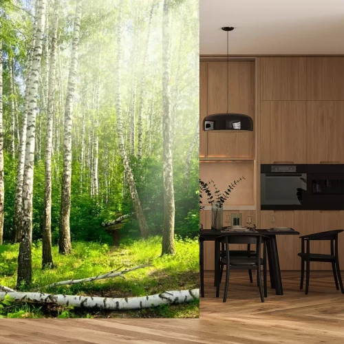 Papier peint  Bouleaux couchés dans la forêt