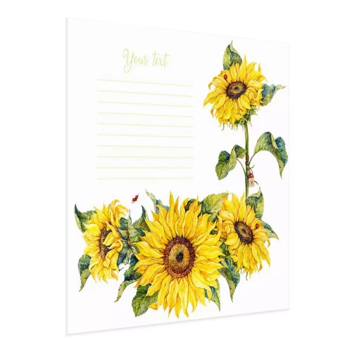 Visualisation du produit