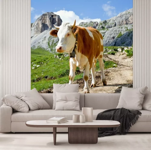 Papier peint  Une vache sur un chemin de montagne