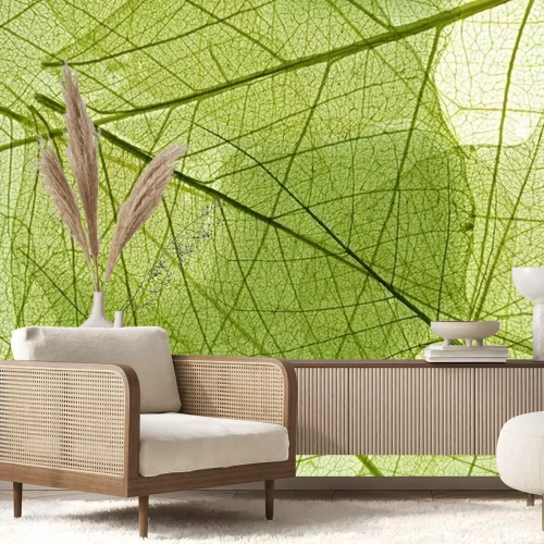Papier peint  La nature sous forme de feuilles
