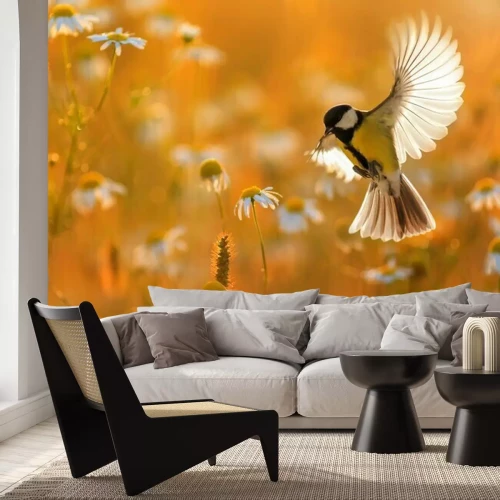 Papier peint  Pâquerettes avec une oiseau