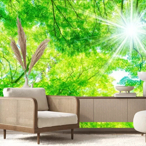 Papier peint  Les plantes au soleil