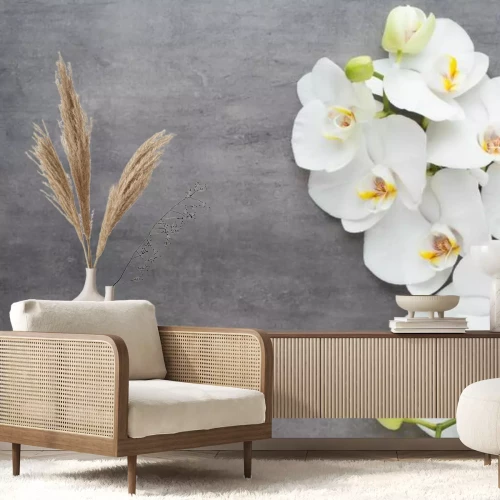 Papier peint  Orchidée blanche sur béton gris