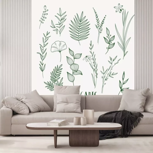 Sticker  Plant nature hand drawn set. Collection botanical element.
