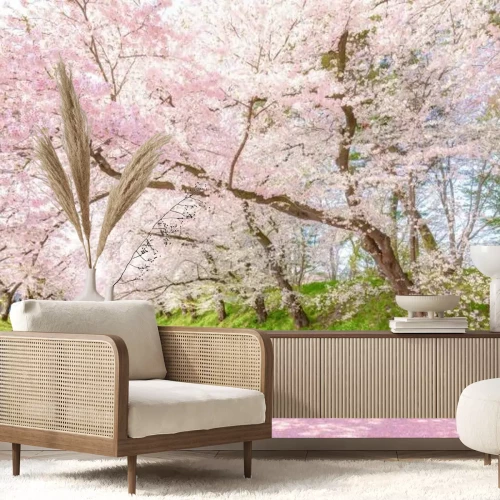 Papier peint  Fleurs de cerisier roses avec une rivière entre elles