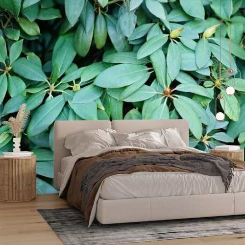 Papier peint  Feuilles sur un buisson