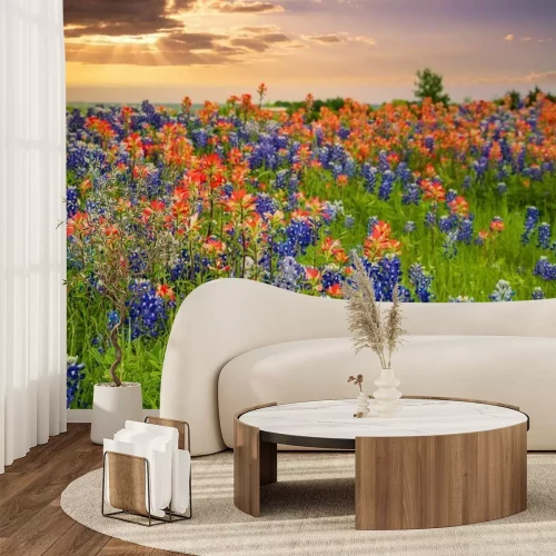 Papier peint  Prairie avec de grandes fleurs