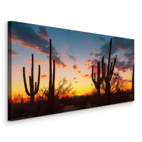 Tableau  Paysage avec des cactus sur fond de coucher de soleil en Arizona