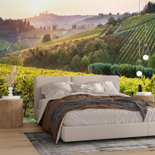Papier peint  Vignoble toscan sur la colline