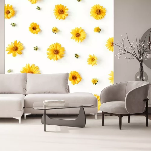 Papier peint  Pâquerettes jaunes petites et grandes