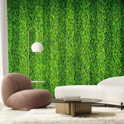 Papier peint  De l'herbe verte sur un terrain de sport