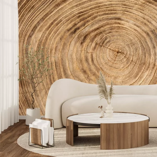 Papier peint  Cerne d'un arbre abattu