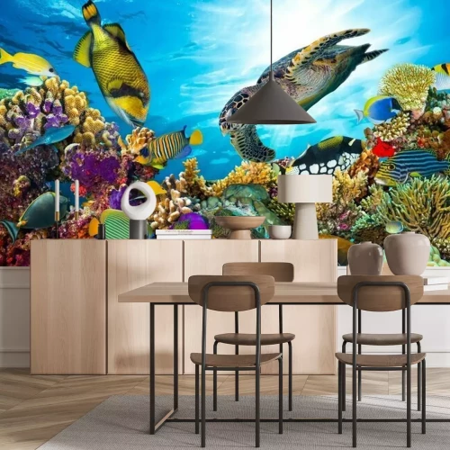 Papier peint  Récif corallien et animaux marins
