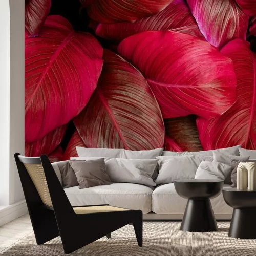 Papier peint  Feuilles rouges