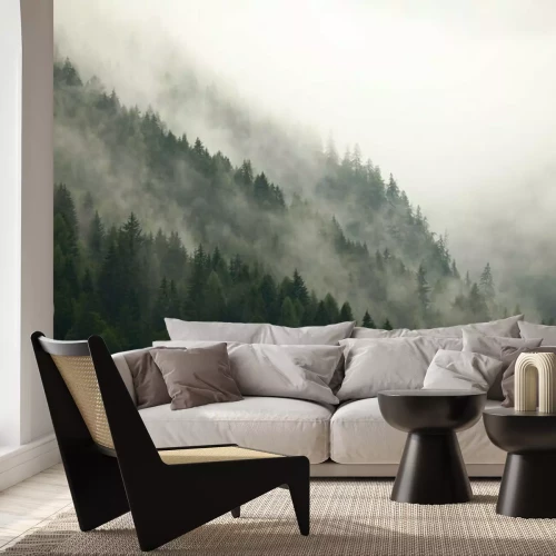 Papier peint  Pente de montagne boisée